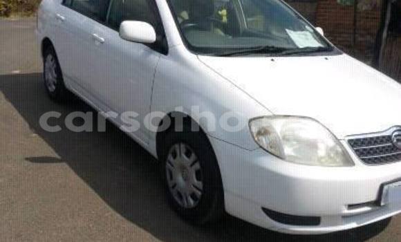 Sayi Na hannu Toyota Corolla White Mota in Maseru a Maseru