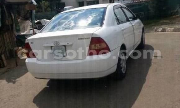 Sayi Na hannu Toyota Corolla White Mota in Maseru a Maseru Sayi Na hannu Toyota Corolla White Mota in Maseru a Maseru