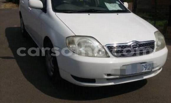 Sayi Na hannu Toyota Corolla White Mota in Maseru a Maseru Sayi Na hannu Toyota Corolla White Mota in Maseru a Maseru