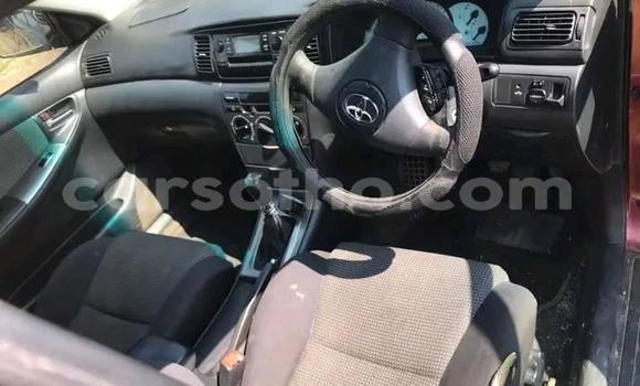 Acheter Occasion Voiture Toyota Runx Rouge à Maseru, Maseru Acheter Occasion Voiture Toyota Runx Rouge à Maseru, Maseru