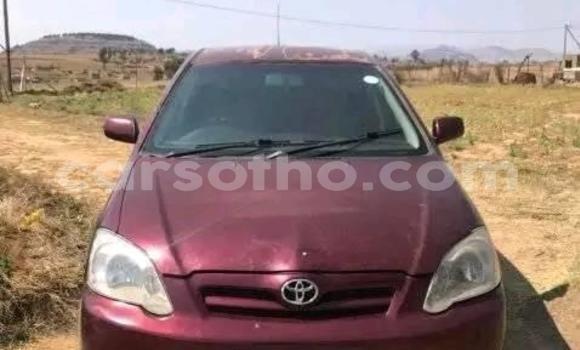 Acheter Occasion Voiture Toyota Runx Rouge à Maseru, Maseru Acheter Occasion Voiture Toyota Runx Rouge à Maseru, Maseru