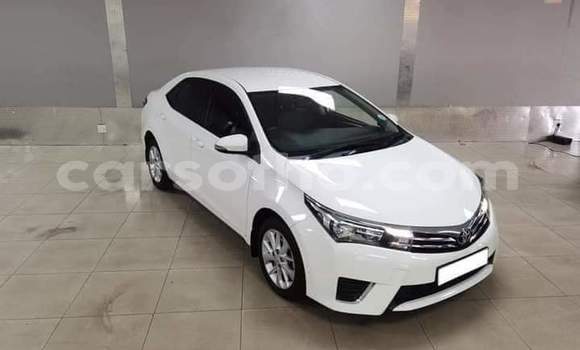 اشتري مستعمل Toyota Corolla White سيارة في Maseru في Maseru