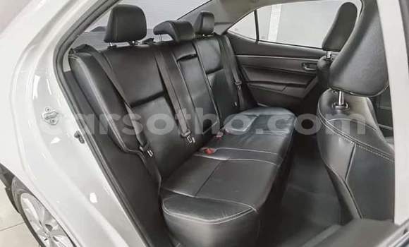 Acheter Occasion Voiture Toyota Corolla Blanc à Maseru, Maseru Acheter Occasion Voiture Toyota Corolla Blanc à Maseru, Maseru