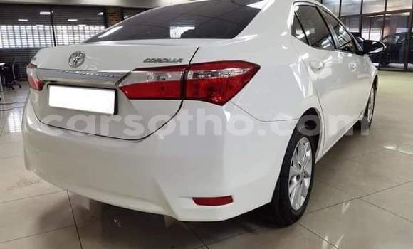 Acheter Occasion Voiture Toyota Corolla Blanc à Maseru, Maseru Acheter Occasion Voiture Toyota Corolla Blanc à Maseru, Maseru