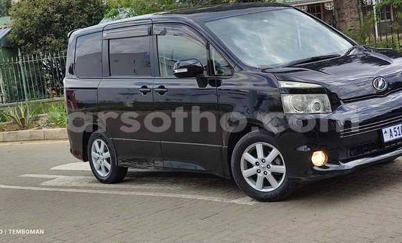 Sayi Na hannu Toyota Voxy Black Mota in Mafeteng a Mafeteng Sayi Na hannu Toyota Voxy Black Mota in Mafeteng a Mafeteng