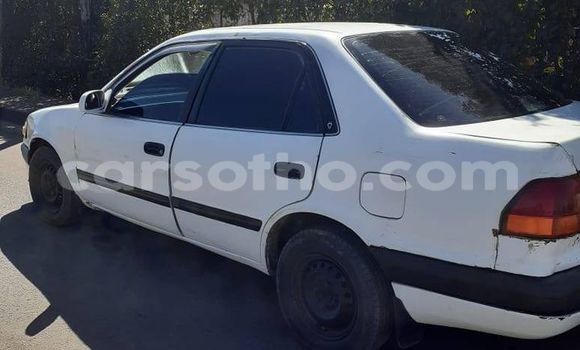 اشتري مستعمل Toyota Sai White سيارة في Maseru في Maseru