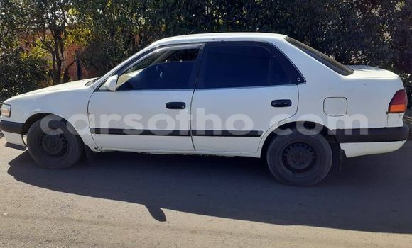 اشتري مستعمل Toyota Sai White سيارة في Maseru في Maseru اشتري مستعمل Toyota Sai White سيارة في Maseru في Maseru