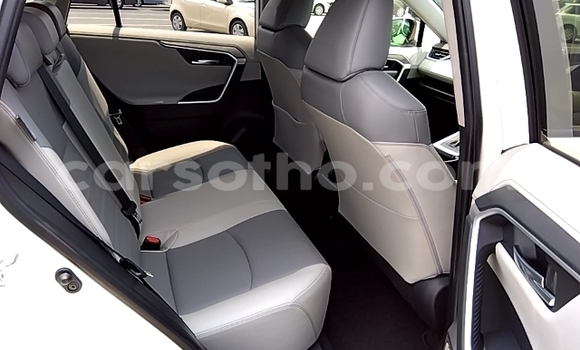 اشتري مستعمل Toyota RAV4 White سيارة في Maseru في Maseru اشتري مستعمل Toyota RAV4 White سيارة في Maseru في Maseru