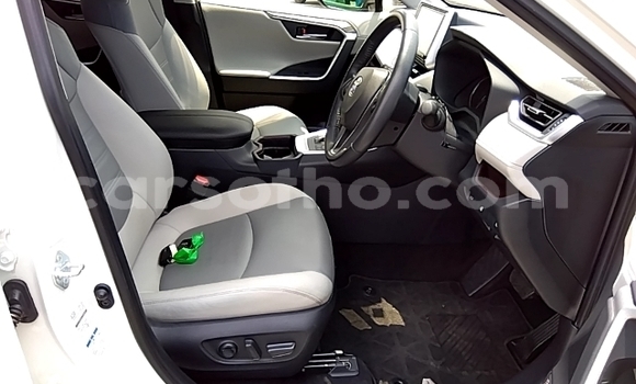 اشتري مستعمل Toyota RAV4 White سيارة في Maseru في Maseru اشتري مستعمل Toyota RAV4 White سيارة في Maseru في Maseru
