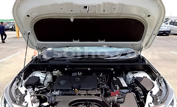 اشتري مستعمل Toyota RAV4 White سيارة في Maseru في Maseru اشتري مستعمل Toyota RAV4 White سيارة في Maseru في Maseru