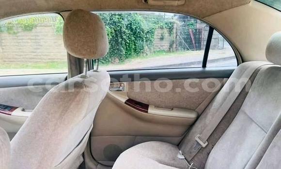 Acheter Occasion Voiture Toyota Corolla Autre à Maseru, Maseru