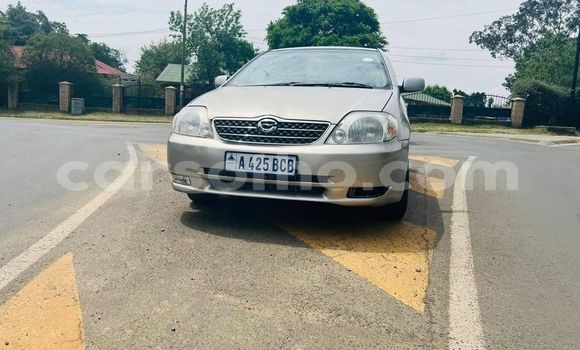 Acheter Occasion Voiture Toyota Corolla Autre à Maseru, Maseru Acheter Occasion Voiture Toyota Corolla Autre à Maseru, Maseru