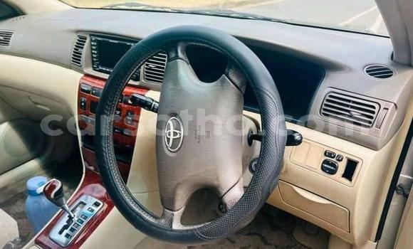 Acheter Occasion Voiture Toyota Corolla Autre à Maseru, Maseru Acheter Occasion Voiture Toyota Corolla Autre à Maseru, Maseru