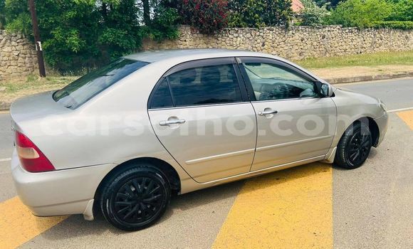 Acheter Occasion Voiture Toyota Corolla Autre à Maseru, Maseru Acheter Occasion Voiture Toyota Corolla Autre à Maseru, Maseru