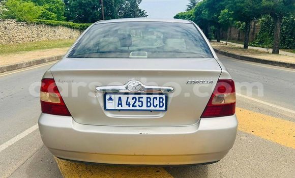 Acheter Occasion Voiture Toyota Corolla Autre à Maseru, Maseru Acheter Occasion Voiture Toyota Corolla Autre à Maseru, Maseru