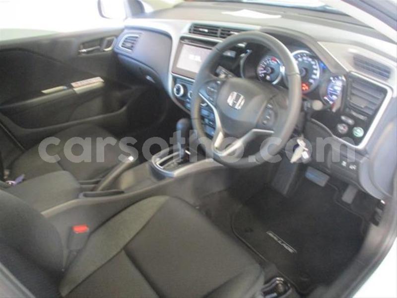 Big with watermark b6