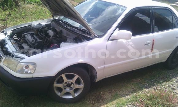 Sayi Na hannu Toyota Corolla White Mota in Maseru a Maseru