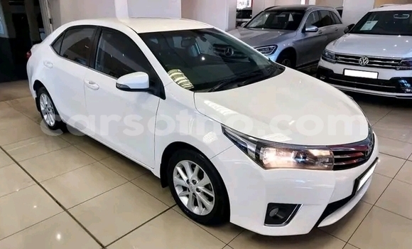 Buy Used Toyota Corolla White Car in Hlotse in Leribe Buy Used Toyota Corolla White Car in Hlotse in Leribe