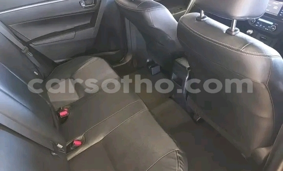 Sayi Na hannu Toyota Corolla White Mota in Hlotse a Leribe Sayi Na hannu Toyota Corolla White Mota in Hlotse a Leribe