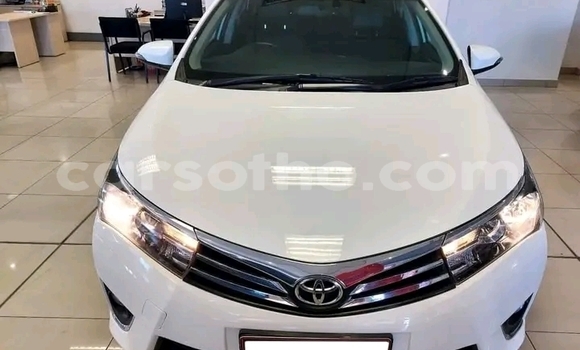Sayi Na hannu Toyota Corolla White Mota in Hlotse a Leribe Sayi Na hannu Toyota Corolla White Mota in Hlotse a Leribe