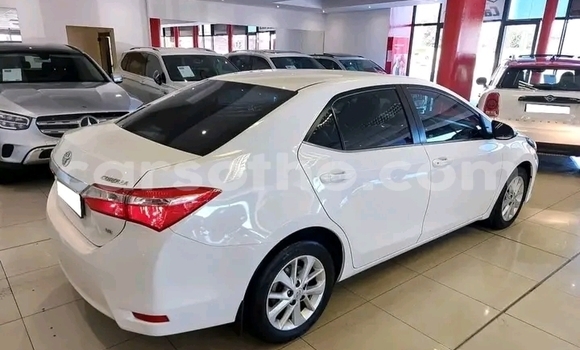 Sayi Na hannu Toyota Corolla White Mota in Hlotse a Leribe Sayi Na hannu Toyota Corolla White Mota in Hlotse a Leribe