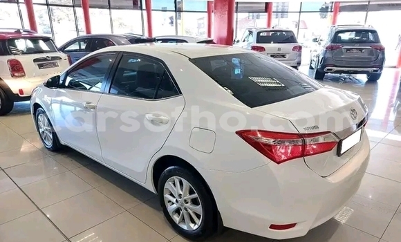 Sayi Na hannu Toyota Corolla White Mota in Hlotse a Leribe Sayi Na hannu Toyota Corolla White Mota in Hlotse a Leribe