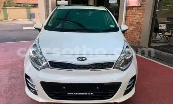 Buy Used Kia Rio White Car in Hlotse in Leribe