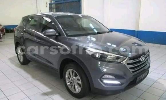 Buy Used Hyundai Tucson Other Car in Hlotse in Leribe