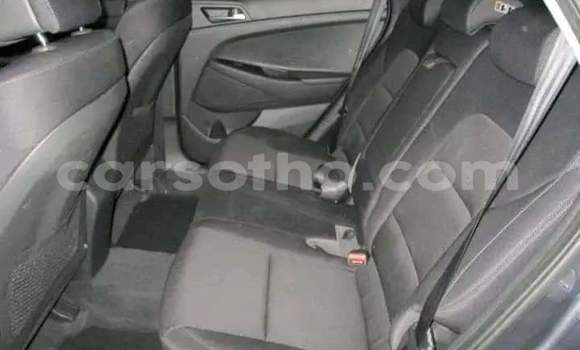 Sayi Na hannu Hyundai Tucson Other Mota in Hlotse a Leribe Sayi Na hannu Hyundai Tucson Other Mota in Hlotse a Leribe