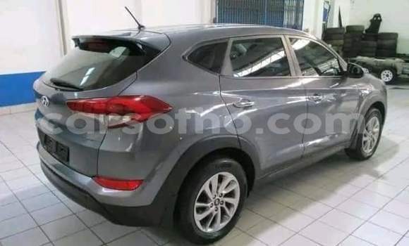 Sayi Na hannu Hyundai Tucson Other Mota in Hlotse a Leribe Sayi Na hannu Hyundai Tucson Other Mota in Hlotse a Leribe