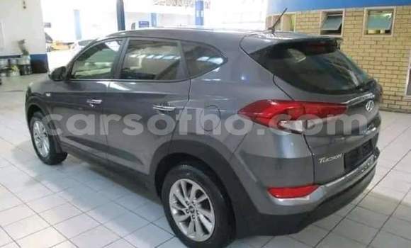 Sayi Na hannu Hyundai Tucson Other Mota in Hlotse a Leribe Sayi Na hannu Hyundai Tucson Other Mota in Hlotse a Leribe