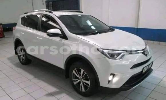 Acheter Occasion Voiture Toyota RAV4 Blanc à Hlotse, Leribe