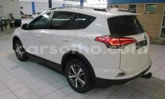 Acheter Occasion Voiture Toyota RAV4 Blanc à Hlotse, Leribe Acheter Occasion Voiture Toyota RAV4 Blanc à Hlotse, Leribe