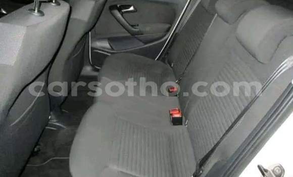 اشتري مستعمل Volkswagen Polo White سيارة في Hlotse في Leribe اشتري مستعمل Volkswagen Polo White سيارة في Hlotse في Leribe