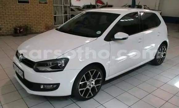 اشتري مستعمل Volkswagen Polo White سيارة في Hlotse في Leribe اشتري مستعمل Volkswagen Polo White سيارة في Hlotse في Leribe