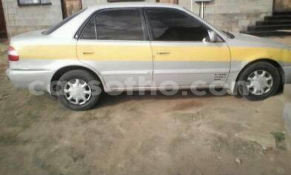 Sayi Na hannu Toyota Corolla Silver Mota in Maseru a Maseru