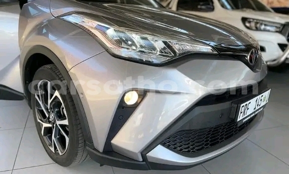 Acheter Occasion Voiture Toyota C-HR Gris à Hlotse, Leribe Acheter Occasion Voiture Toyota C-HR Gris à Hlotse, Leribe