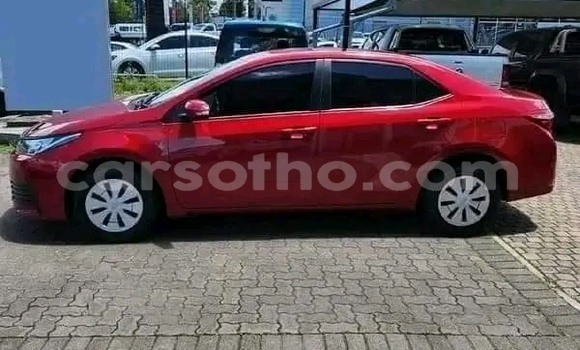 Acheter Occasion Voiture Toyota Corolla Rouge à Hlotse, Leribe Acheter Occasion Voiture Toyota Corolla Rouge à Hlotse, Leribe