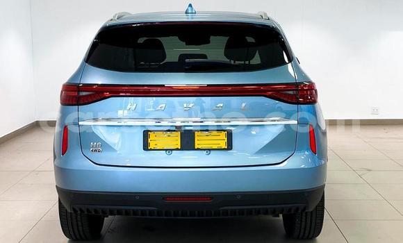 اشتري مستعمل Haval H6 Blue سيارة في Maseru في Maseru اشتري مستعمل Haval H6 Blue سيارة في Maseru في Maseru