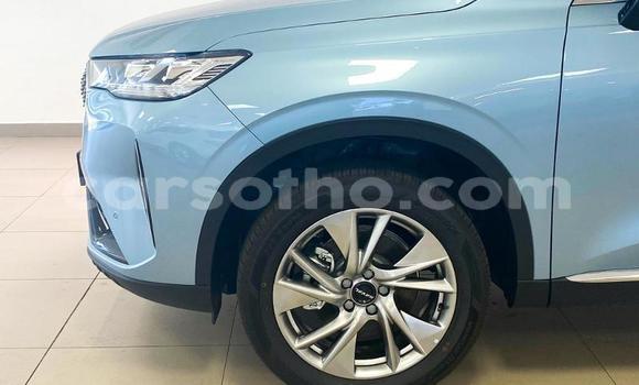 اشتري مستعمل Haval H6 Blue سيارة في Maseru في Maseru اشتري مستعمل Haval H6 Blue سيارة في Maseru في Maseru