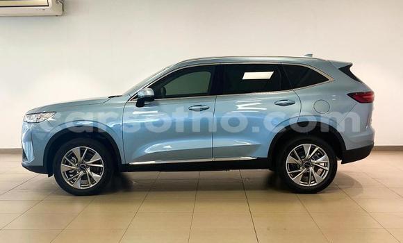 اشتري مستعمل Haval H6 Blue سيارة في Maseru في Maseru اشتري مستعمل Haval H6 Blue سيارة في Maseru في Maseru