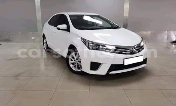 Buy Used Toyota Corolla White Car in Hlotse in Leribe