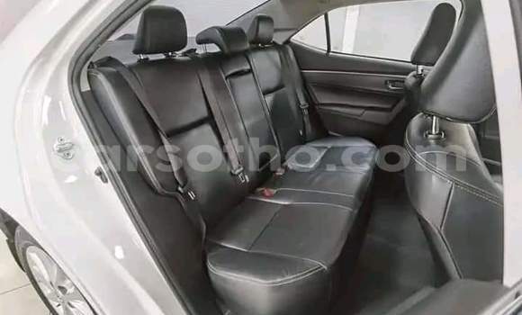 Buy Used Toyota Corolla White Car in Hlotse in Leribe Buy Used Toyota Corolla White Car in Hlotse in Leribe