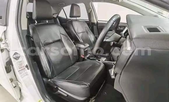 Buy Used Toyota Corolla White Car in Hlotse in Leribe Buy Used Toyota Corolla White Car in Hlotse in Leribe