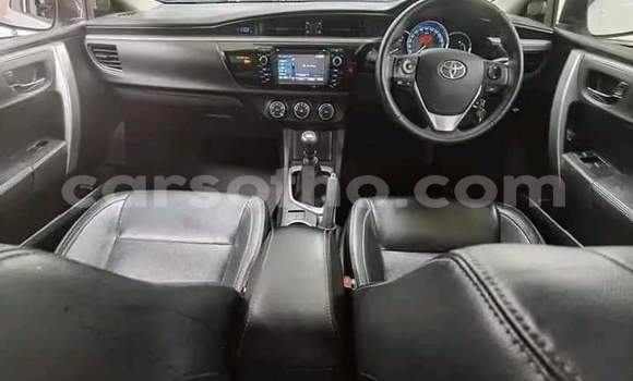 Buy Used Toyota Corolla White Car in Hlotse in Leribe Buy Used Toyota Corolla White Car in Hlotse in Leribe