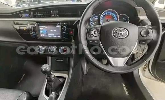 Buy Used Toyota Corolla White Car in Hlotse in Leribe Buy Used Toyota Corolla White Car in Hlotse in Leribe