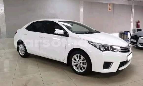 Buy Used Toyota Corolla White Car in Hlotse in Leribe Buy Used Toyota Corolla White Car in Hlotse in Leribe