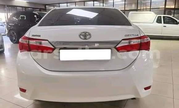 Buy Used Toyota Corolla White Car in Hlotse in Leribe Buy Used Toyota Corolla White Car in Hlotse in Leribe