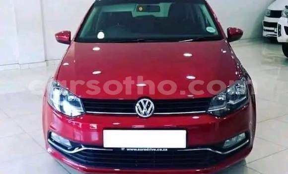 اشتري مستعمل Volkswagen Polo Red سيارة في Hlotse في Leribe