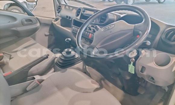 Buy Used Toyota Dyna White Truck in Maseru in Maseru Buy Used Toyota Dyna White Truck in Maseru in Maseru